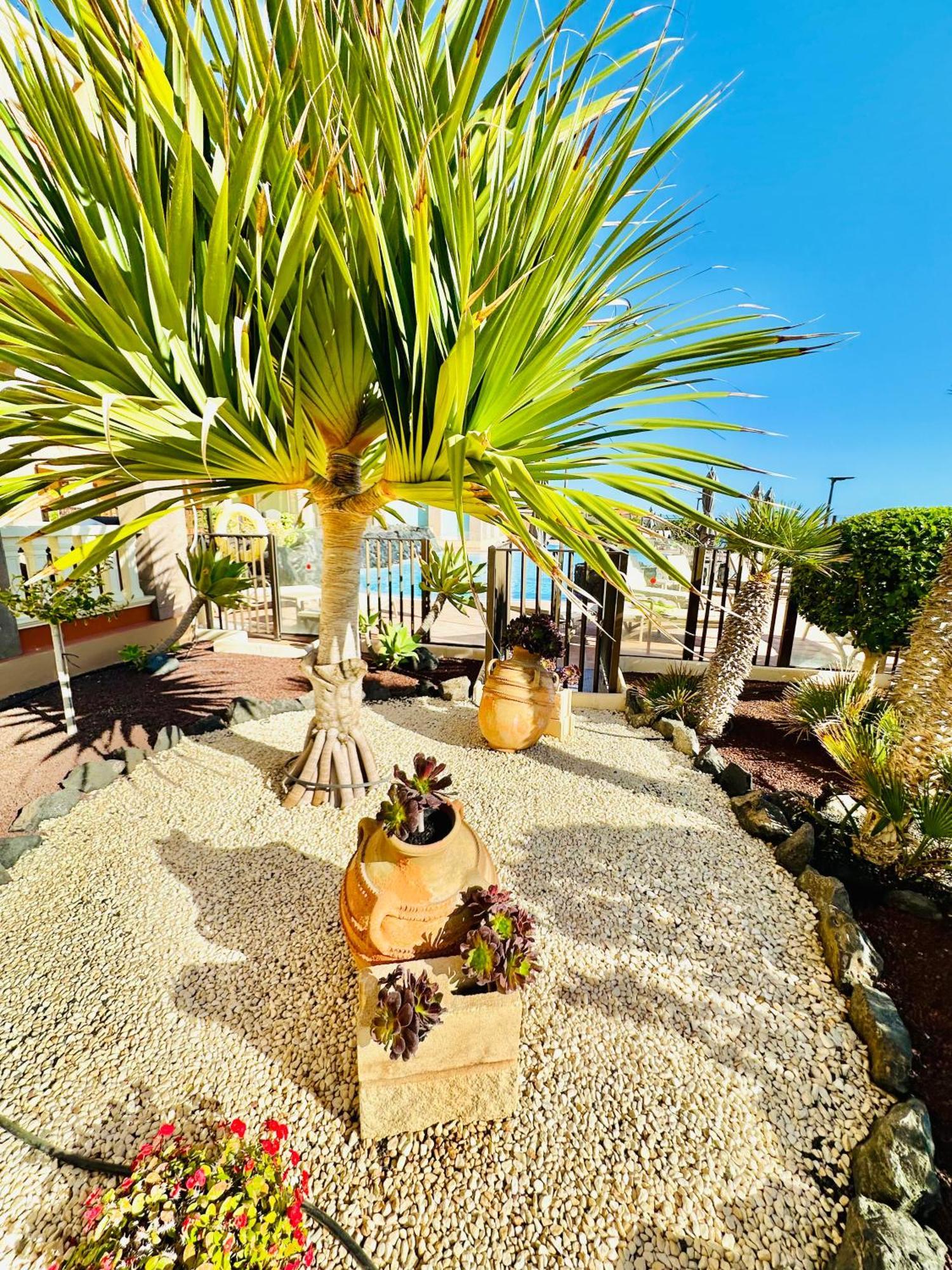 El Nautico Apartment San Miguel de Abona Exteriér fotografie